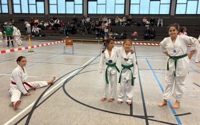 Poomsae: Trierer erfolgreich im Saarland